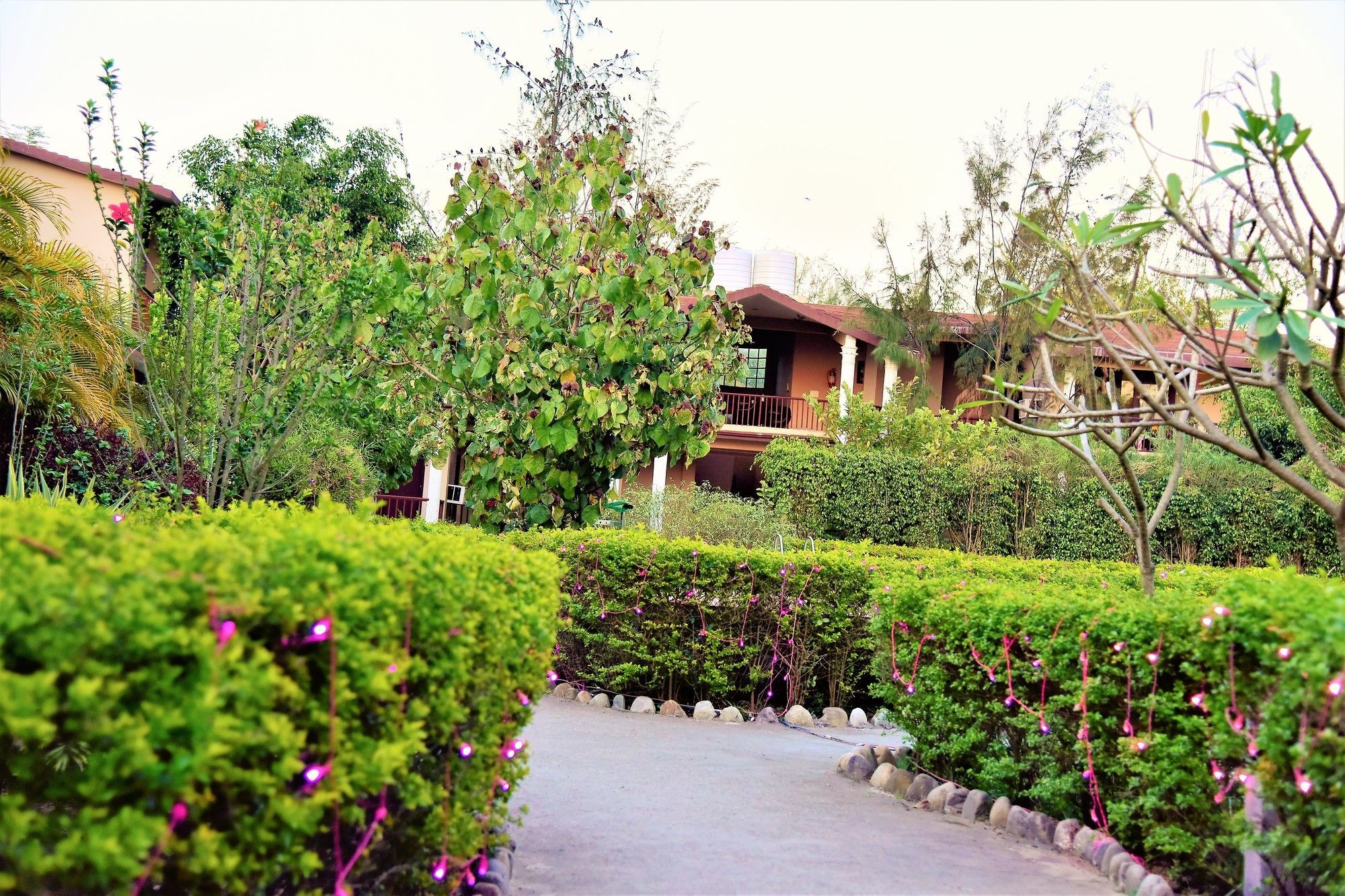 Palette Alaya Resort, Corbett Nainital Buitenkant foto